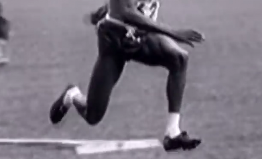 Museu Paranaense realiza programação especial do Novembro Negro