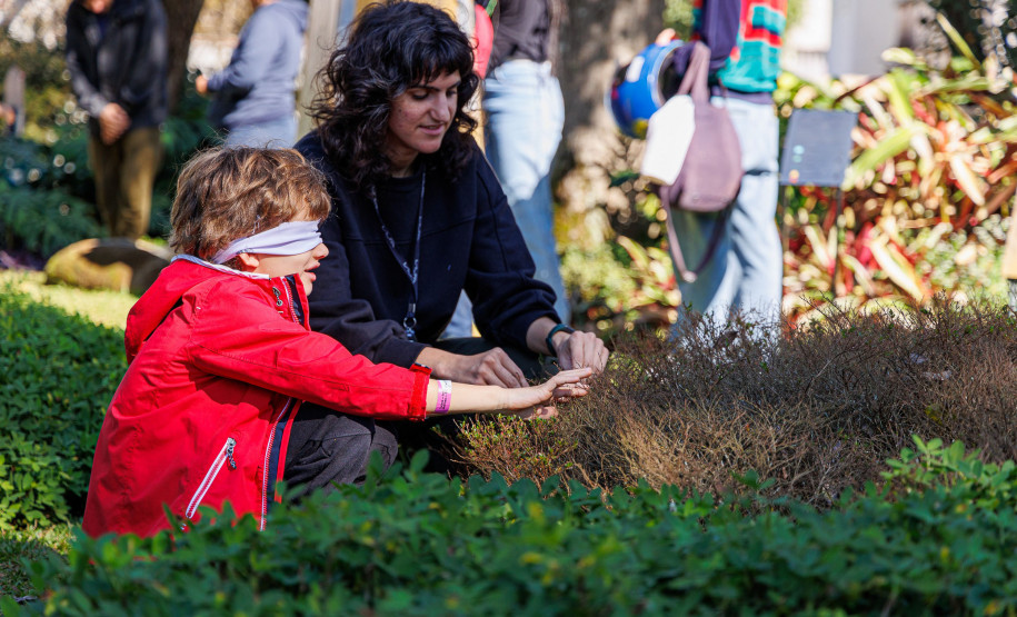 MUPA amplia atuação e fortalece pesquisa, educação e programação cultural em 2025