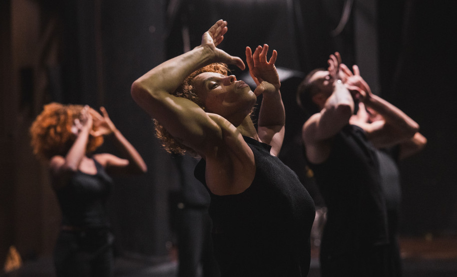 MUPA amplia atuação e fortalece pesquisa, educação e programação cultural em 2025