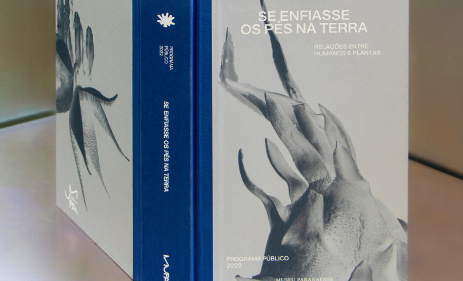 MUPA amplia atuação e fortalece pesquisa, educação e programação cultural em 2025