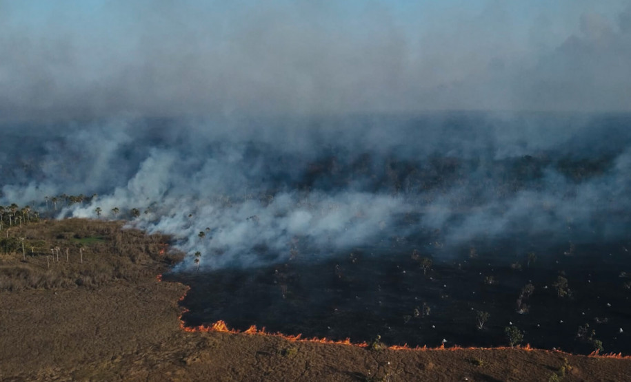 "A febre da mata", 2022. 10'09". Takumã Kuikuro.