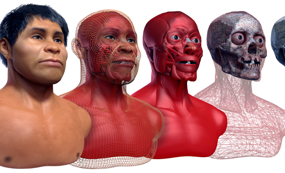 Museus do Estado funcionam em horário especial durante o Dia da Independência do Brasil Museus do Estado funcionam em horário especial durante o Dia da Independência do Brasil.