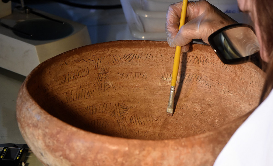 Laboratório do Museu Paranaense
