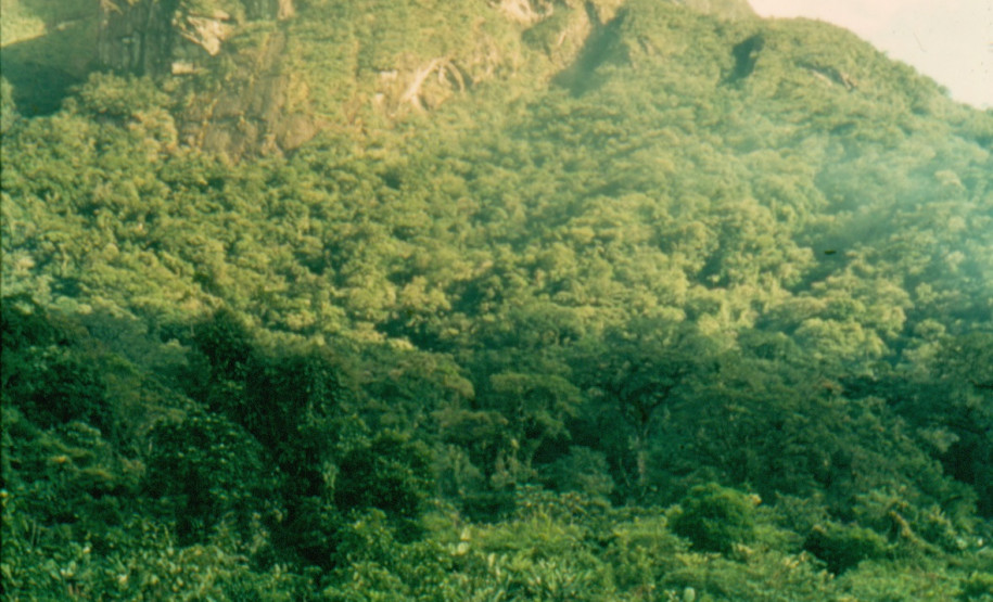 17ª Semana Nacional de Museus Expedição de Vladimir Kozák no Conjunto Marumbi, Serra do Mar, Paraná. Vladimir Kozák, cromo colorido, 1940.