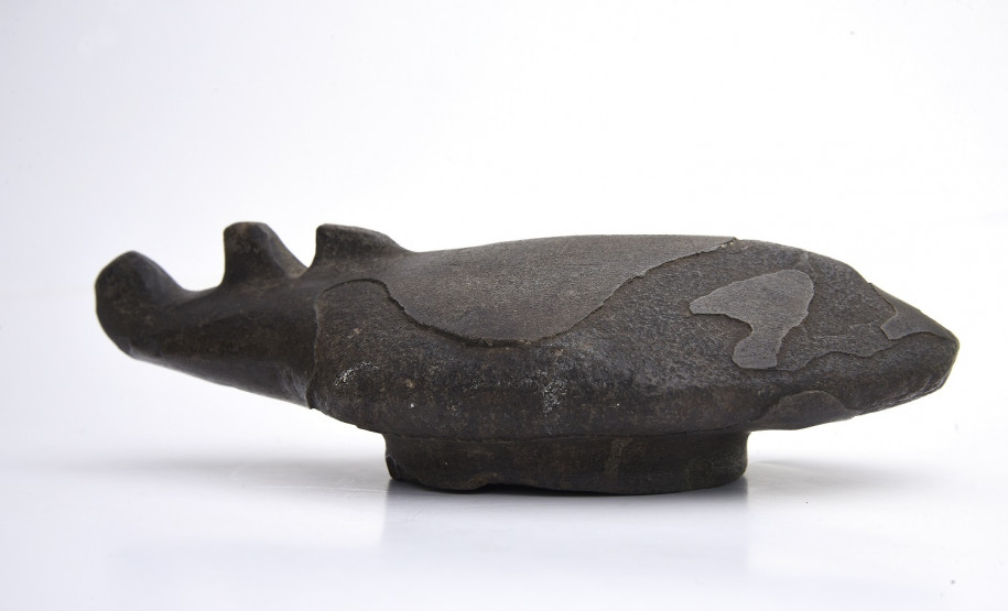 Zoólito em diabásio com forma de peixe Zoólito em diabásio esculpido com forma de peixe proveniente de sambaquis da costa sul brasileira. Possui bacia ventral onde eram inseridos corantes, frutos e sementes e usados em cerimônias rituais de sepultamento, especialmente entre 5000 e 3000 anos atrás. Coleção Lange de Morretes. Acervo Museu Paranaense.