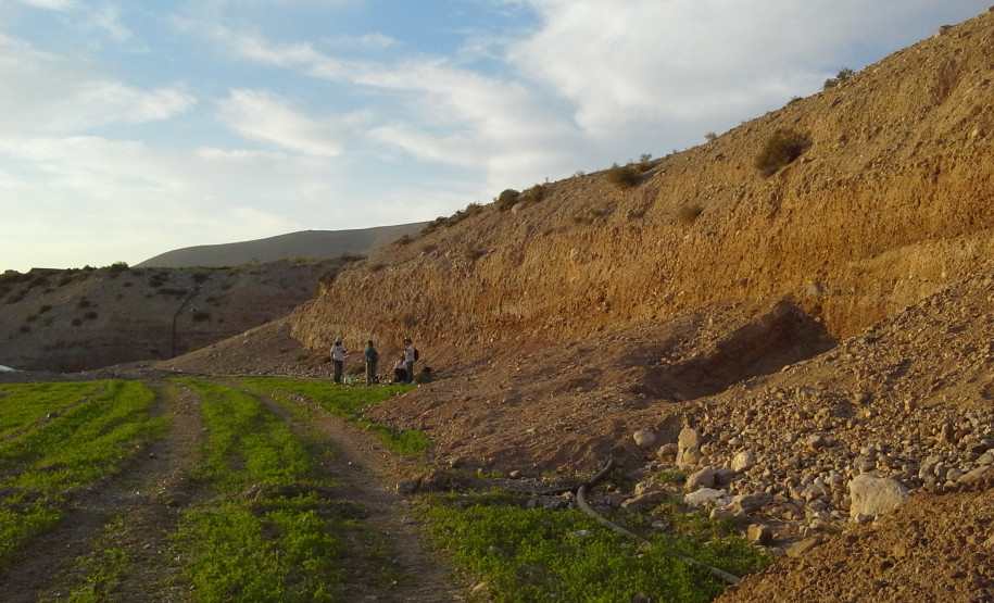 Corte 334 inferior, 2015 Corte 334 inferior, 2015