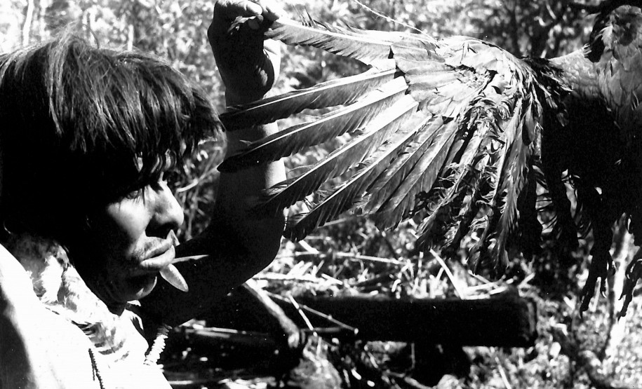 Etnia Xetá Etnia Xetá. Urubu utilizado em ritual, década de 1950. Coleção Vladimir Kozák. Acervo Museu Paranaense.