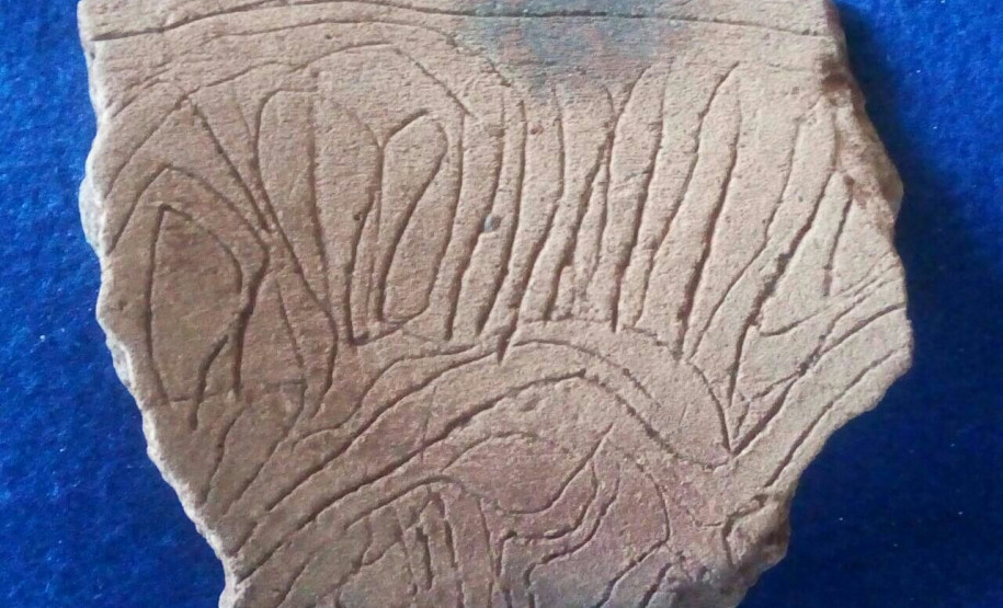 Museu Paranaense promove palestra sobre acervos arqueológicos Museu Paranaense promove palestra sobre acervos arqueológicos