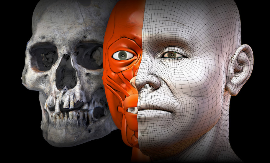 Museu Paranaense apresenta Gufan, o paranaense de dois mil anos Museu Paranaense apresenta Gufan, o paranaense de dois mil anos