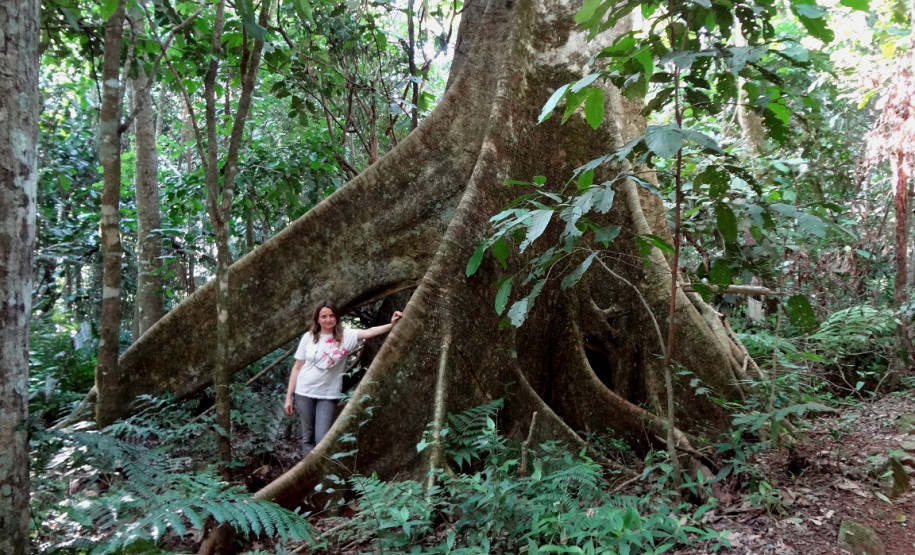 Arqueóloga do Museu Paranaense participa de Fórum Municipal de Turismo em Campo Mourão Arqueóloga do Museu Paranaense participa de Fórum Municipal de Turismo em Campo Mourão