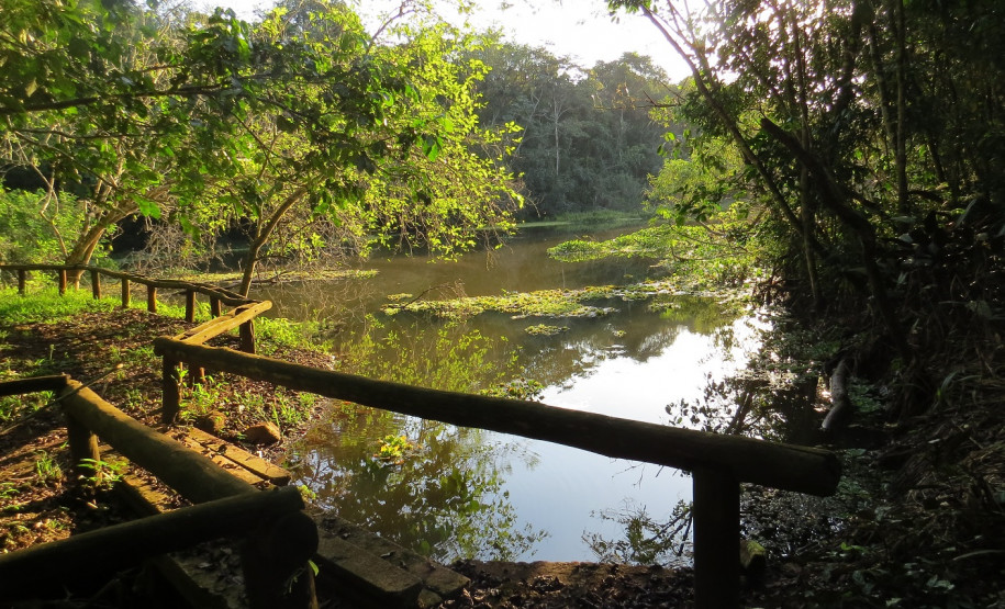 Arqueóloga do Museu Paranaense participa de Fórum Municipal de Turismo em Campo Mourão Arqueóloga do Museu Paranaense participa de Fórum Municipal de Turismo em Campo Mourão