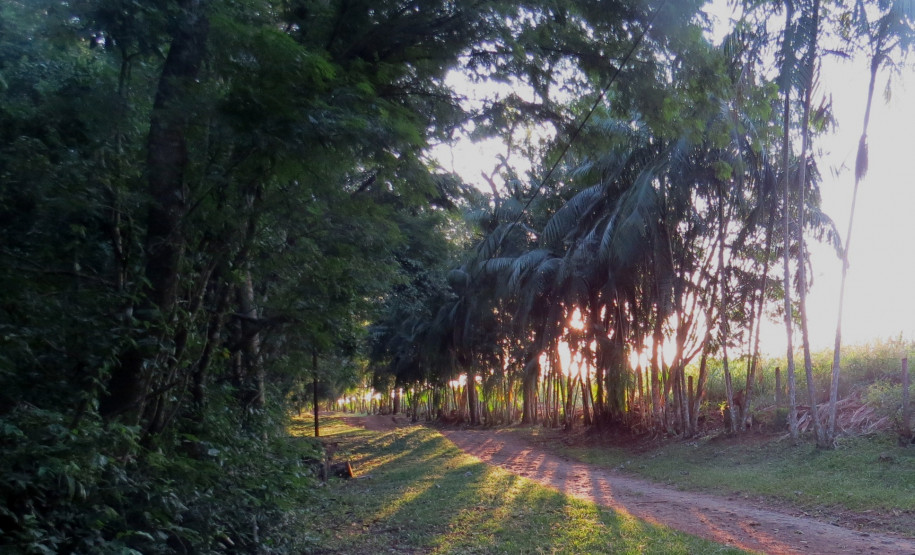 Arqueóloga do Museu Paranaense participa de Fórum Municipal de Turismo em Campo Mourão
