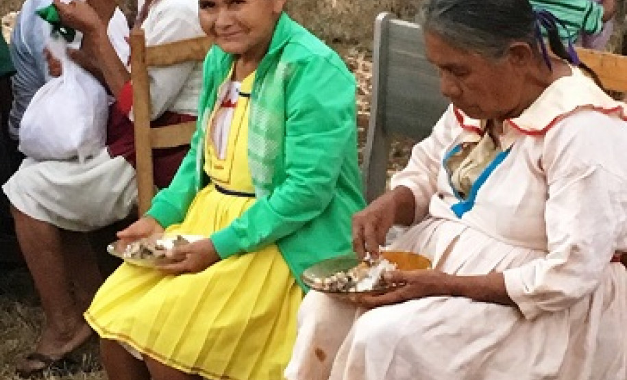 Líderes anciãos Kaingang visitam o Museu Paranaense em agosto