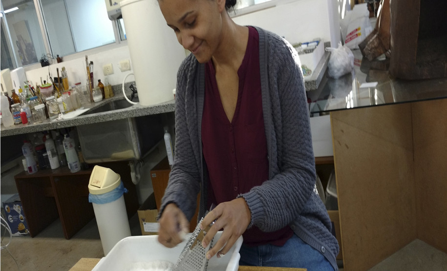 Museu Paranaense dá curso de conservação de acervo para técnicas da Universidade do Norte do Paraná Museu Paranaense dá curso de conservação de acervo para técnicas da Universidade do Norte do Paraná